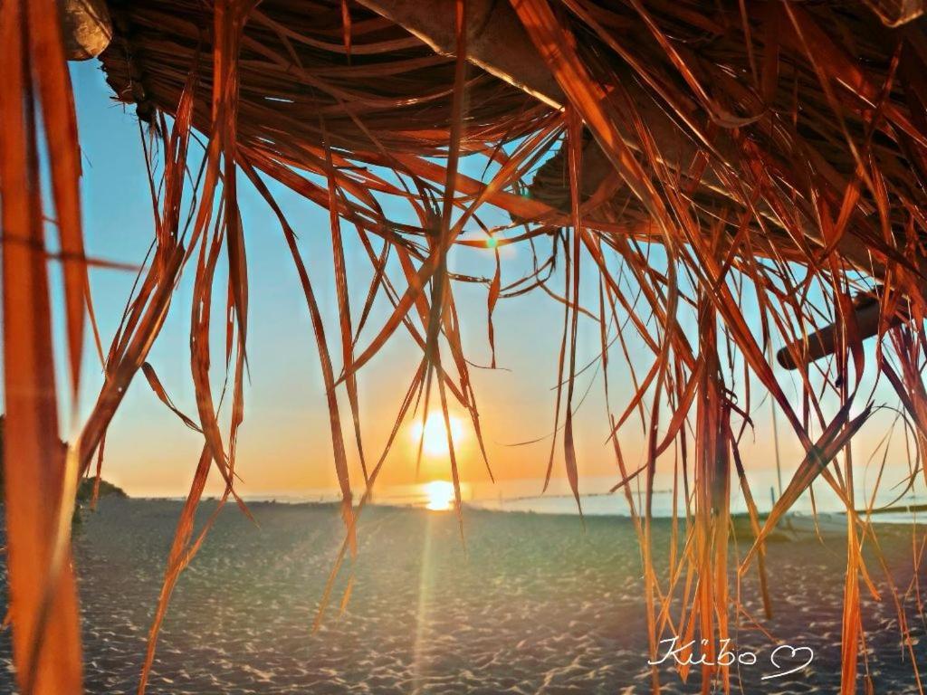 Ferienwohnungen Haus Sommerlust Ostseebad Kühlungsborn Εξωτερικό φωτογραφία
